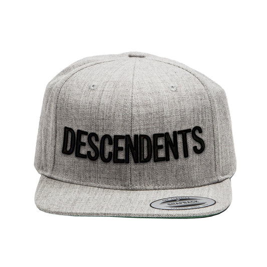 Classic Logo Snapback Hat (Grey)
